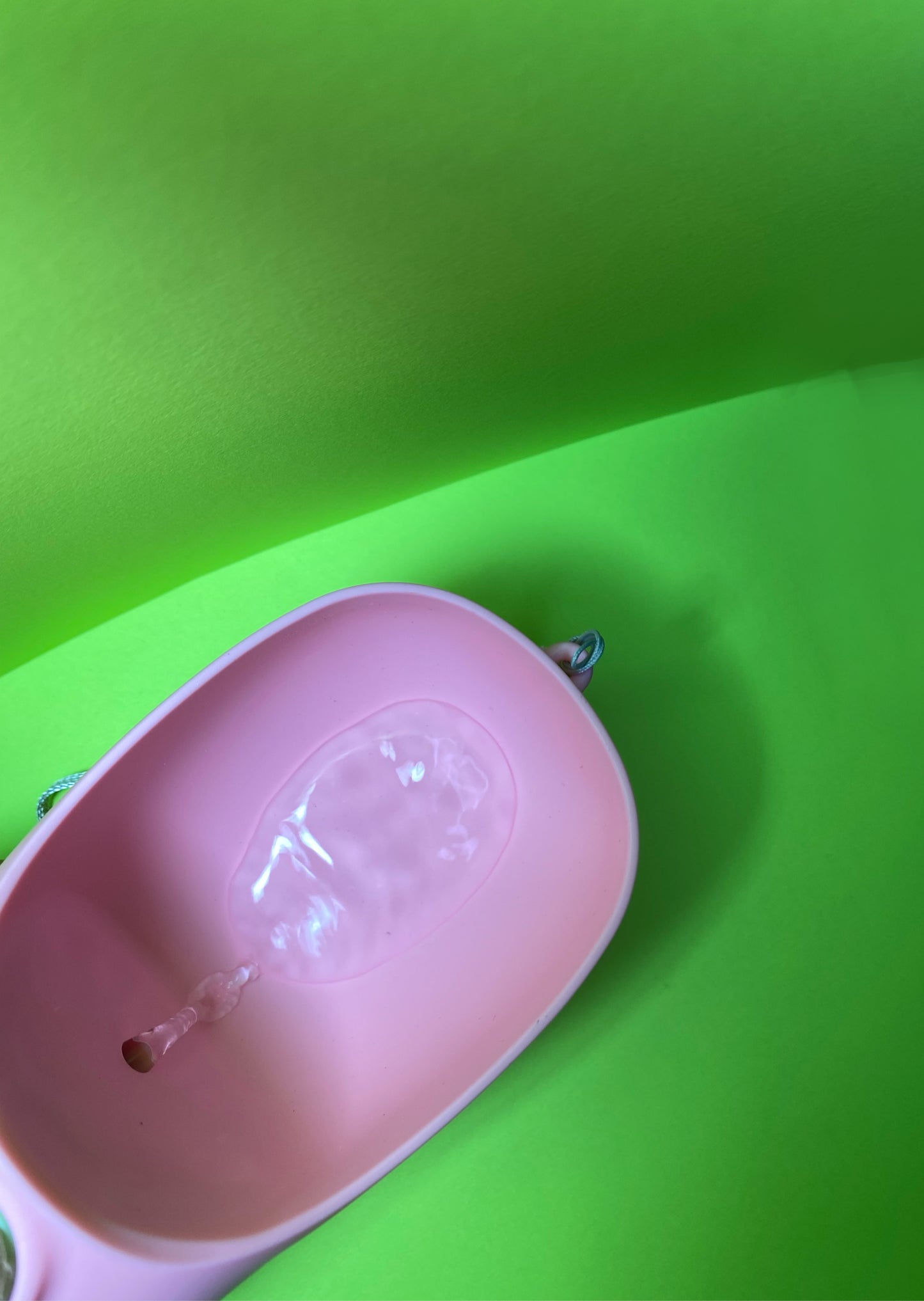 Portable water bottle