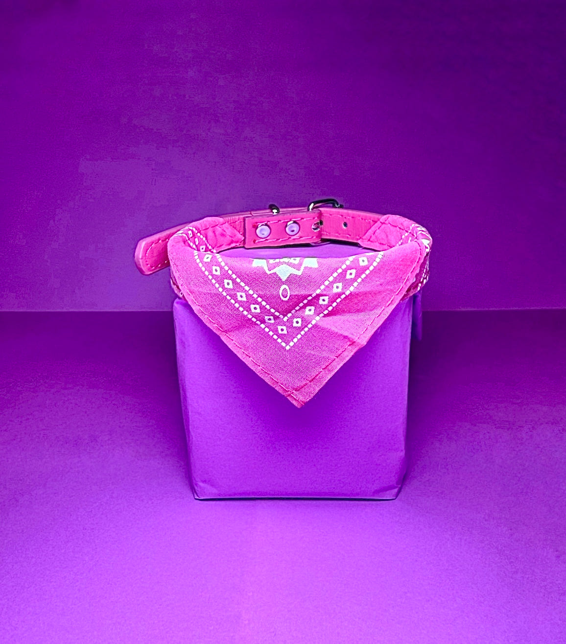 Classic Bandana Leather Collar | For Dogs