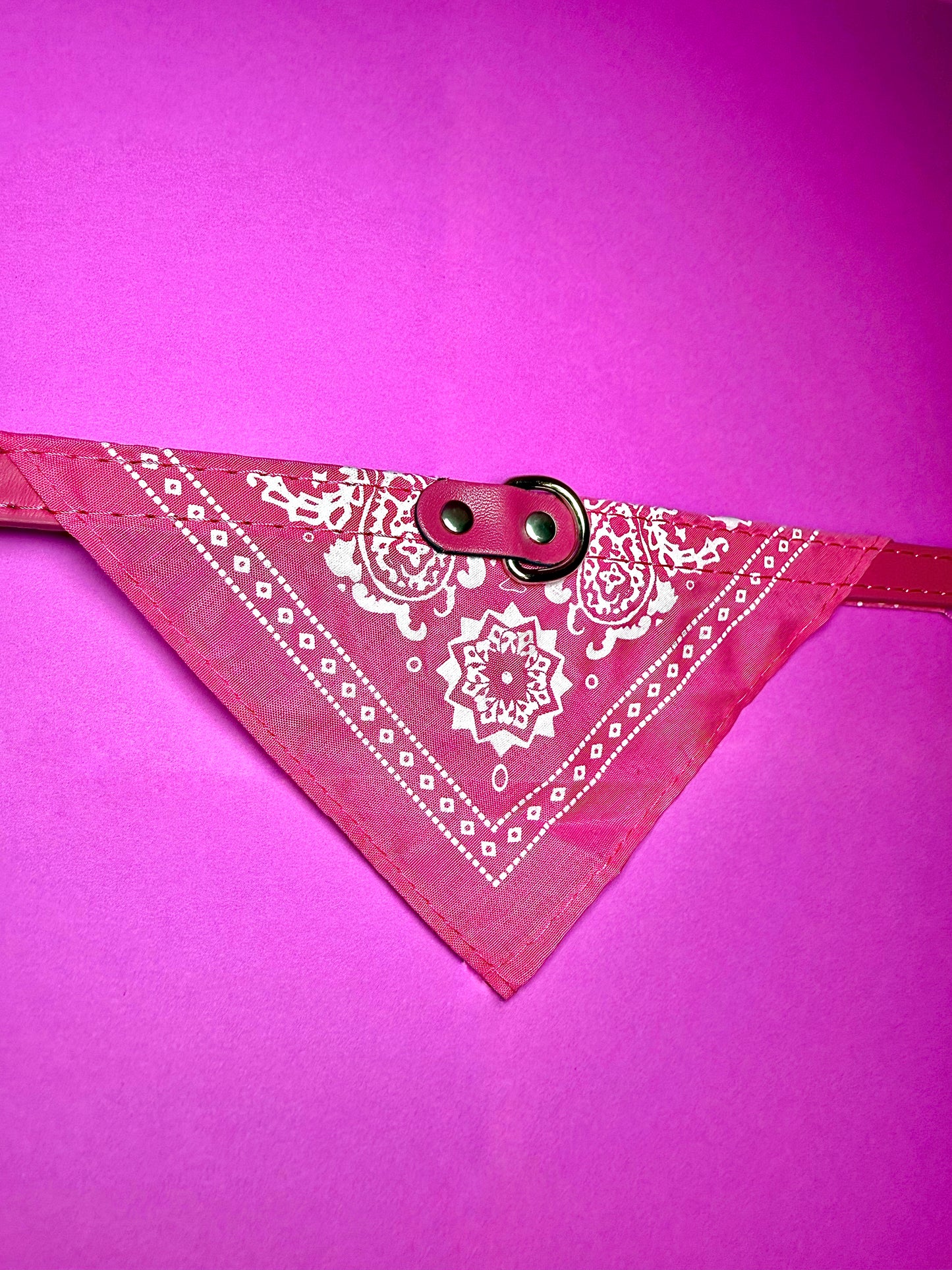 Classic Bandana Leather Collar | For Dogs