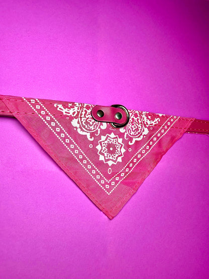 Classic Bandana Leather Collar | For Dogs
