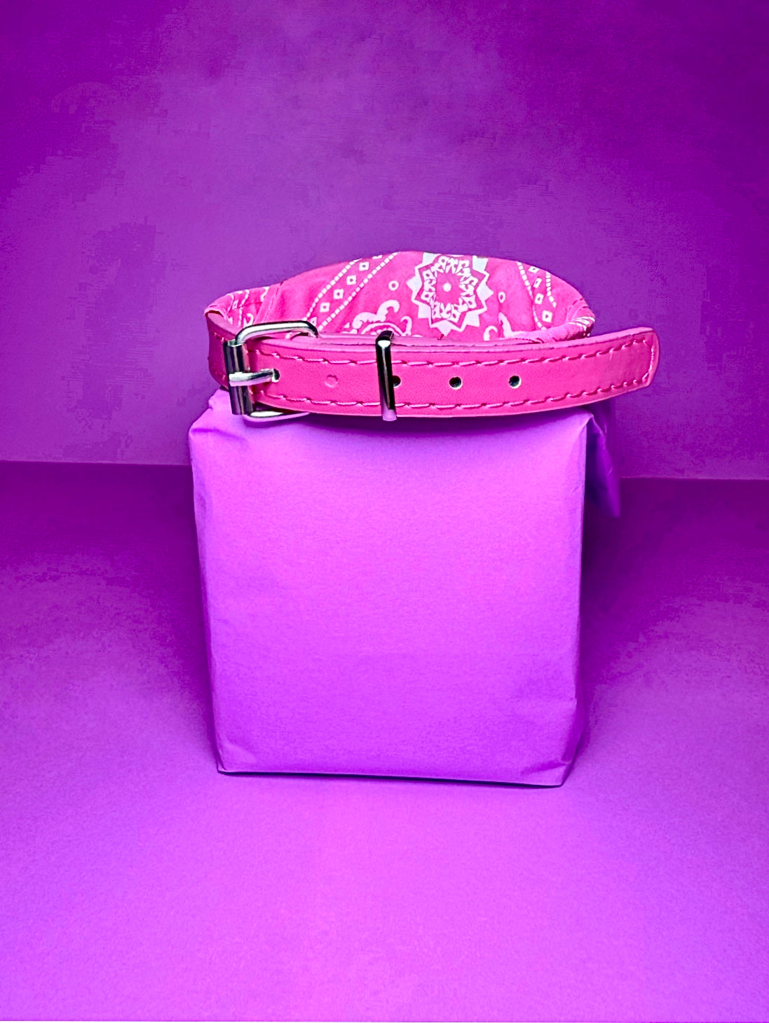 Classic Bandana Leather Collar | For Dogs